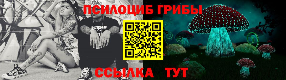 Галлюциногенные грибы Psilocybine cubensis Ижевск